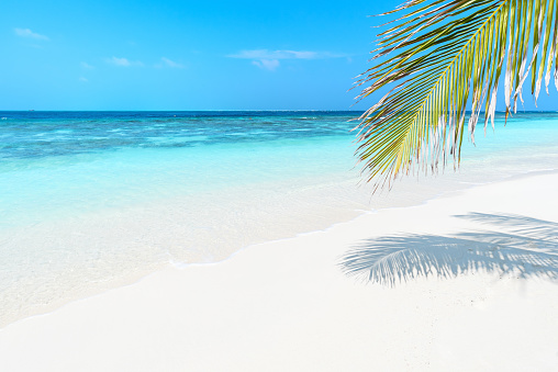Tropical beach nature background