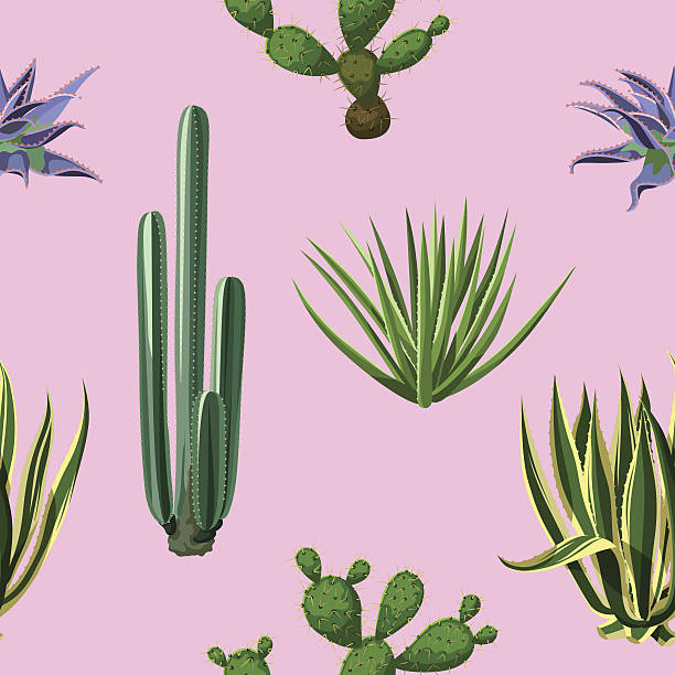 istock Seamless pattern with cactuses and succulents set. Plants of desert 639498254