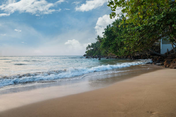 istock Beautiful tropical beach 639498540