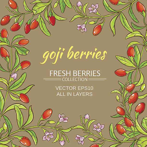 illustrazioni stock, clip art, cartoni animati e icone di tendenza di goji vector frame - wolfberry berry fruit lycium asian culture