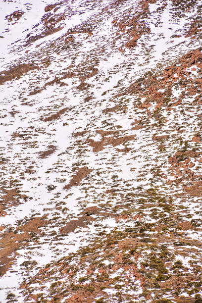 istock Snow texture for the background 639500904