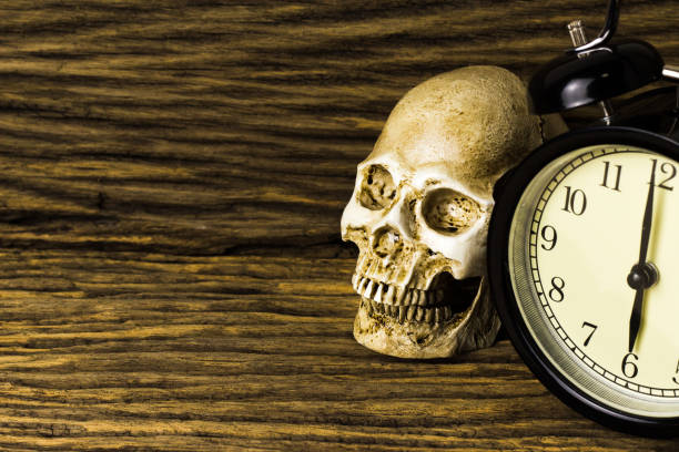 istock Human skull on old wood background ; still-life 639502258