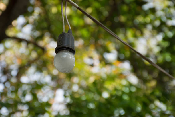 istock Halogen bulbs hanging in a tree during the festival. 639504062