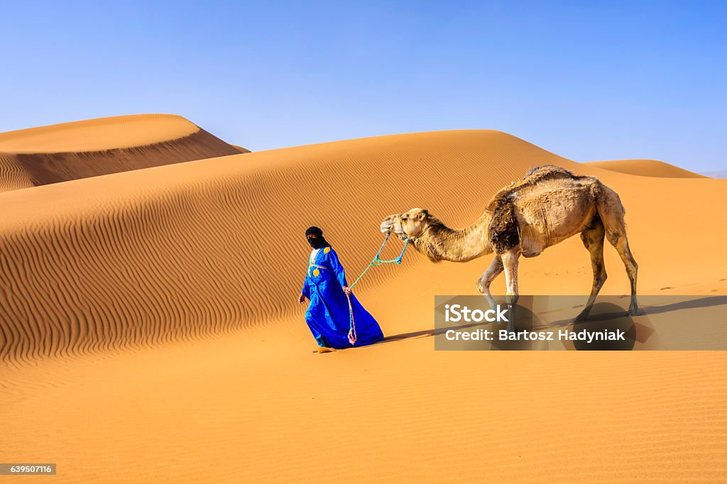 Young Tuareg with camel on Western Sahara Desert in Africa Tuareg with camels on the western part of The Sahara Desert in Morocco. The Sahara Desert is the world's largest hot desert. Morocco Stock Photo