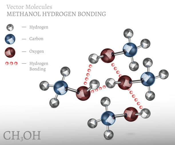 ilustrações, clipart, desenhos animados e ícones de ligação de moléculas de metanol - hydrogen bonding