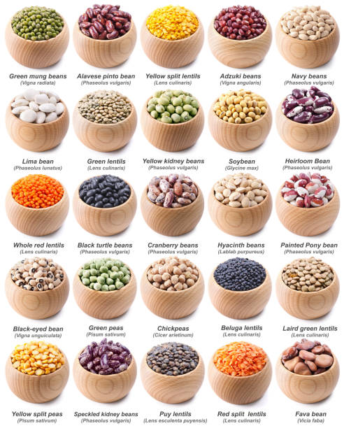 istock legumes collection isolated on white 639508620