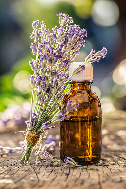 istock Bunch of lavandula or lavender flowers. 639510848