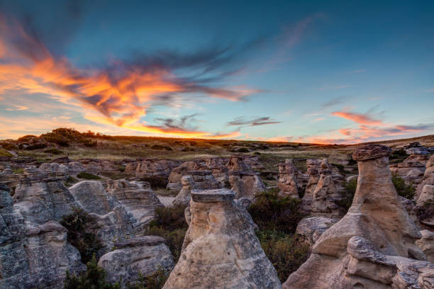 Sunset at Writing on Stone Provincial Park in Alberta, Canada Sunset over the Hoodoo badlands at Writing on Stone Provincial Park and Aisinaipi National Historic Site in Alberta, Canada. The area contains the largest concentration of First Nation petroglyphs (rock carvings) and pictographs (rock paintings) on the great plains of North America. provincial park stock pictures, royalty-free photos & images