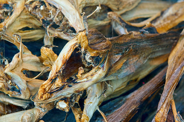 istock Stockfish - Dry flake from Norway 639513942