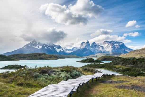 sentiero escursionistico in legno nel parco nazionale torres del paine, patagonia - chilean culture chile forest the americas foto e immagini stock