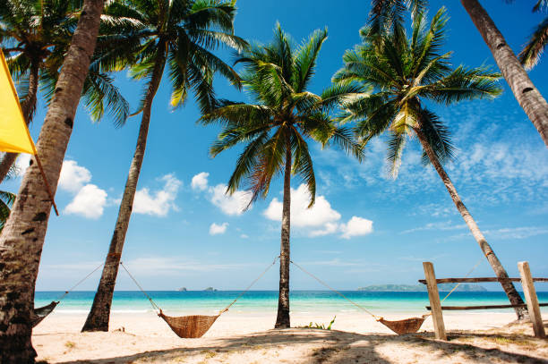 istock tropical beach with palm trees with hammocks, blue sky, Philippines 639516484