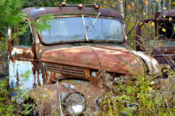 istock The beautiful of yesteryear 639516928