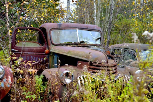 istock The beautiful of yesteryear 639517010
