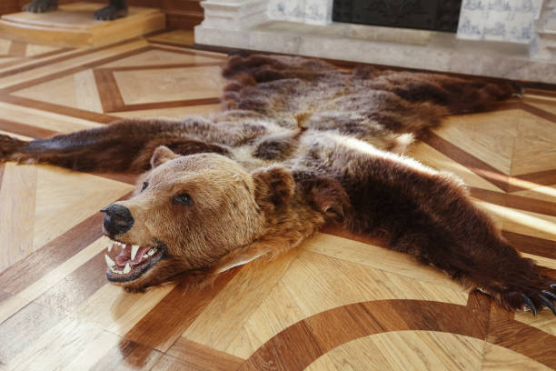 istock Scarecrow killed a bear on the floor 639518758