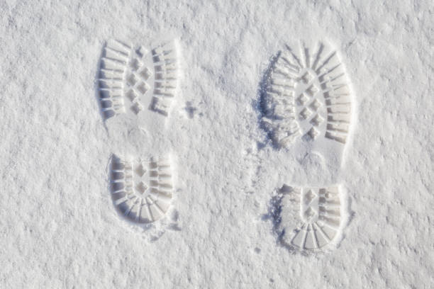 istock Footsteps in the snow 639523944