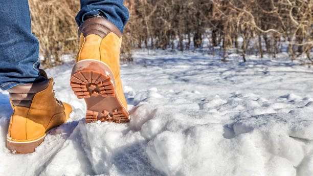 istock Man walking in the snowy forest 639524134