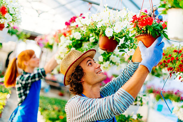 Cheerful and hard-working young couple working in their own new business - plant nursery and taking care of potted plants and flowers which is for sale in sprintime and summer season. Ginger head woman and handsome man ready to take orders from cutomers.