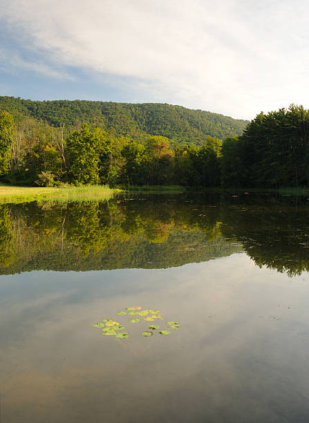 istock Little Pond in Central Pennsylvania 639526830