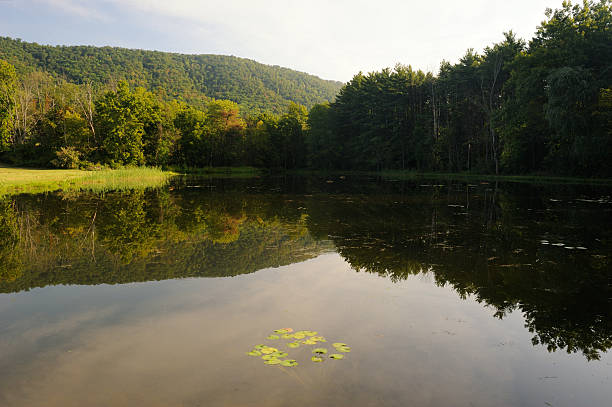 istock Peaceful Morning in Central Pennsylvania 639526976