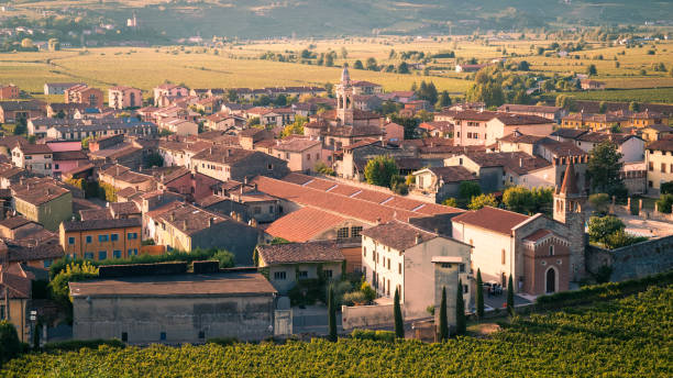 istock View of Soave (Italy) surrounded by vineyards. 639530502