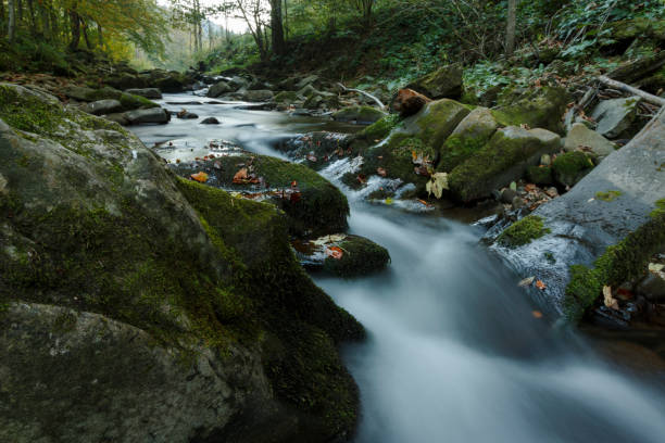 istock Misty autumn river natural forest landscape 639530714
