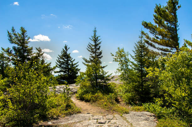istock Hiking in Maine, Mount Major 639530862