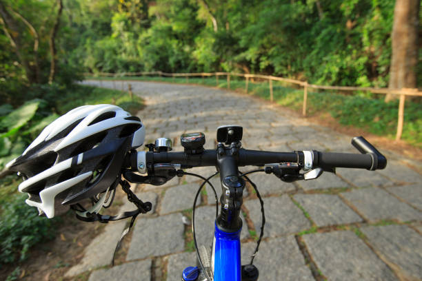 istock mountain bike on forest trail 639532938