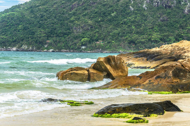 istock Rock formation at the seaside 639537258