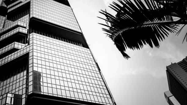 istock windows of commercial building with B&W color 639538996