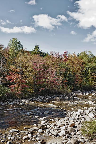istock Colorful Kancamagus Scenic Byway with flowing Stream 639539310