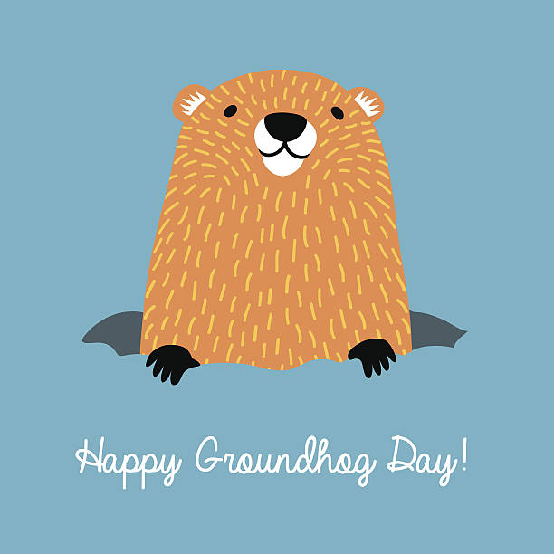 ilustraciones, imágenes clip art, dibujos animados e iconos de stock de feliz día de la marmota. linda marmota saliendo de su madriguera. - groundhog day