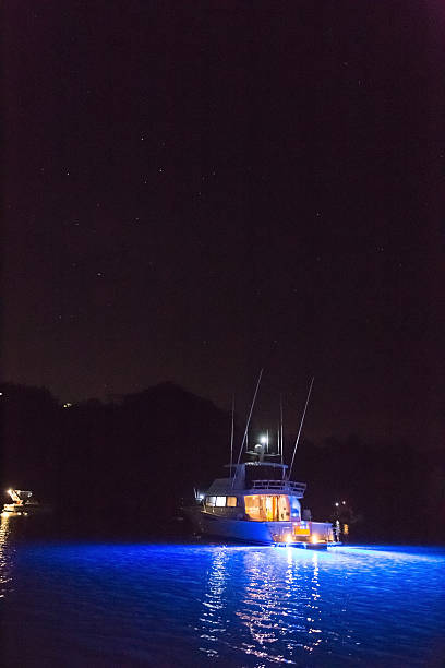 Launch at night time with blue underwater lights