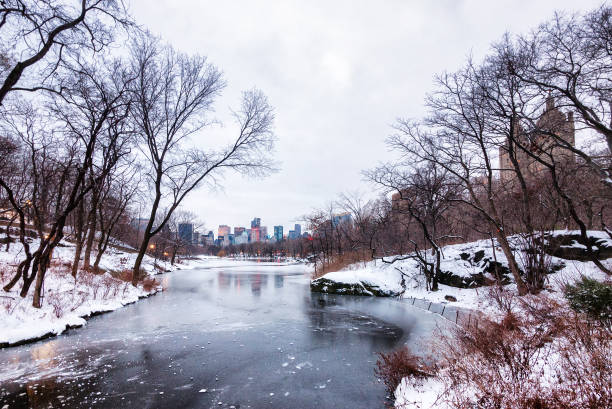 istock Central Park covered in snow - NYC sckyscrapers in background 639542190