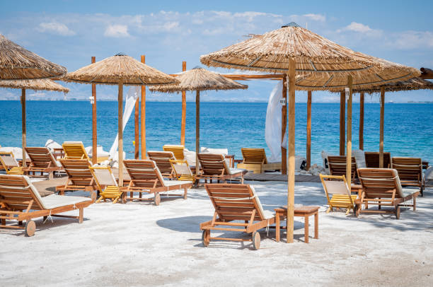praia com guarda-chuvas de madeira e protetores solares - beach tropical climate palm tree deck chair - fotografias e filmes do acervo