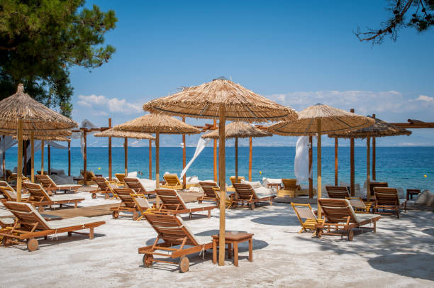 beach with wooden umbrellas and sunbeds - beach tropical climate palm tree deck chair imagens e fotografias de stock