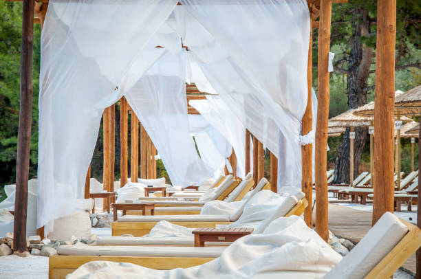 beach with wooden umbrellas and sunbeds - beach palm tree island deck chair imagens e fotografias de stock
