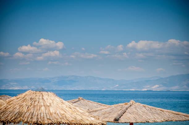 beach with wooden umbrellas and sunbeds - beach palm tree island deck chair imagens e fotografias de stock