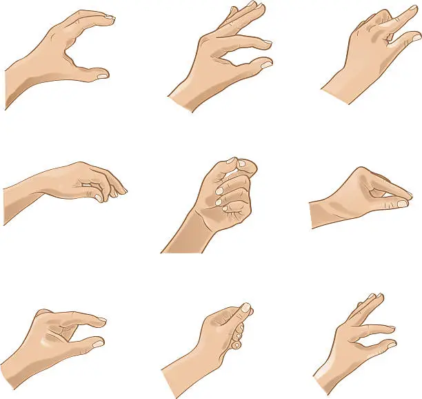 Vector illustration of Hand Gestures -Adjustable Illustration (Vector)