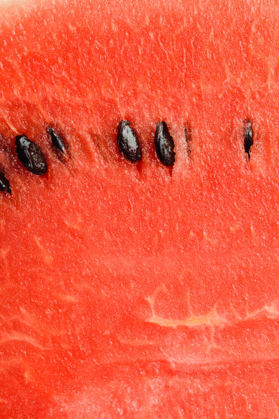 istock slices of watermelon close up 639545994