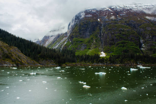 Mountains in Tracy Arm Fjord are partially hidden by clouds in Alaska. 