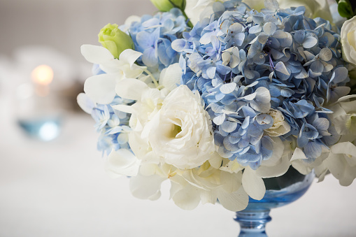 white and blue flower in blue vase