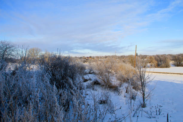 istock Winter rural landscape 639551258