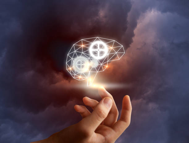 istock Businessman hand holding the brain. 639551432