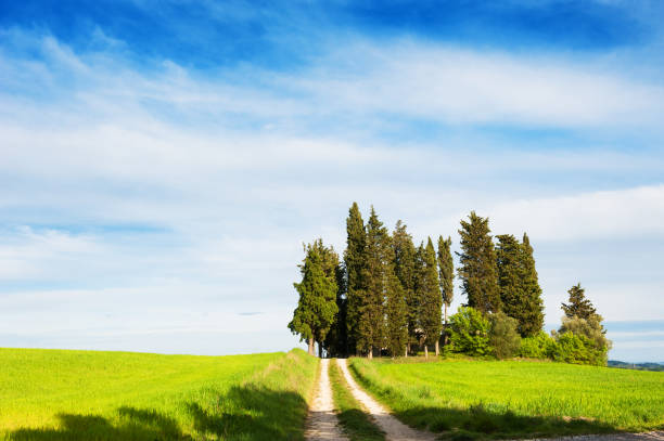 istock Beautiful Tuscany landscape, Italy 639559410