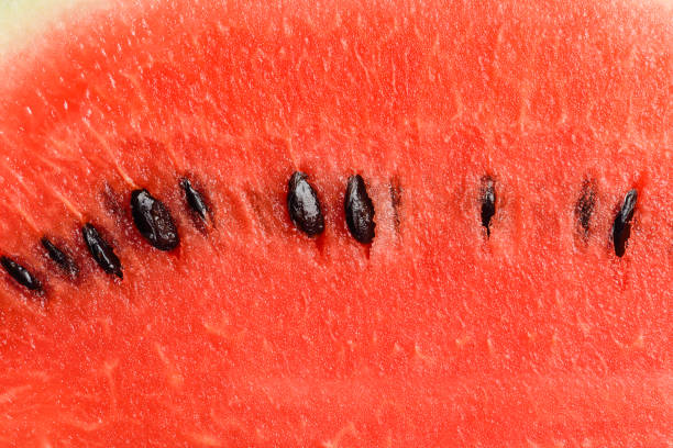 istock slices of watermelon close up 639561642