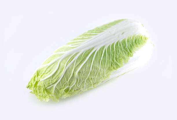 istock Still life with green Chinese cabbage close-up view 639568418