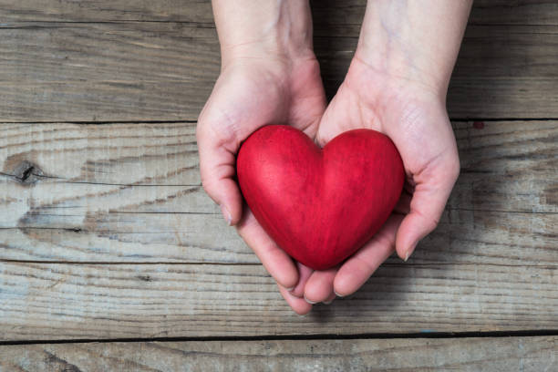 istock Red hart in hands - love symbol 639569202