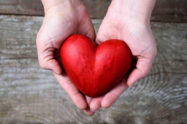 istock Red hart in hands - love symbol 639569278
