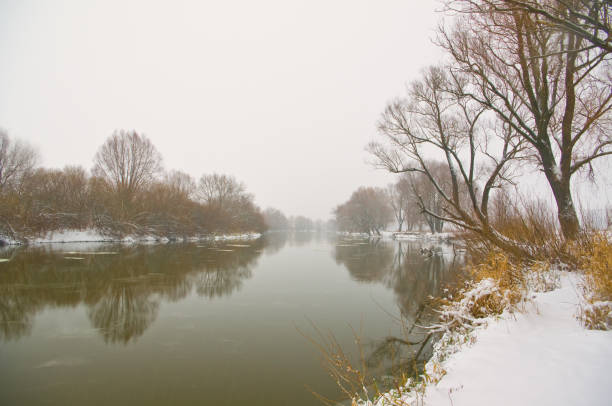 река и деревья, покрытые снегом - winter stream river snowing стоковые фото и изображения