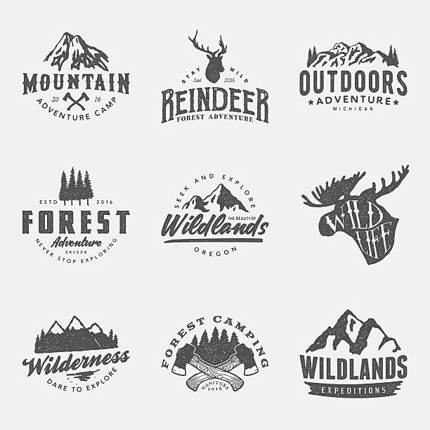set of vintage hand drawn outdoor adventure badges and labels set of vintage hand drawn outdoor adventure badges and labels. vector logo templates with ink texture animals in the wild illustrations stock illustrations